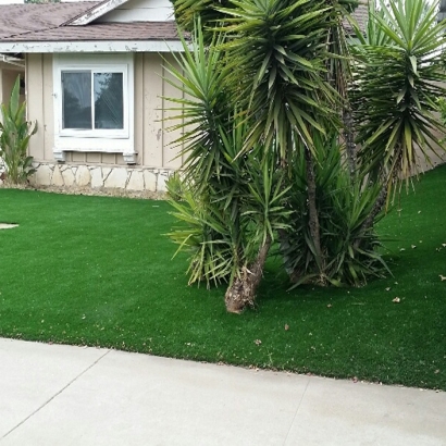 Artificial Grass Carpet Polonia, Wisconsin Paver Patio, Small Front Yard Landscaping