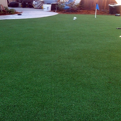 Artificial Grass Carpet Potter Lake, Wisconsin Putting Green Carpet, Backyard Landscape Ideas