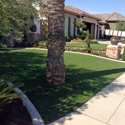 Artificial Grass Carpet Waldo, Wisconsin Paver Patio, Landscaping Ideas For Front Yard
