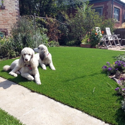 Artificial Grass Carpet White Lake, Wisconsin Pet Turf, Front Yard