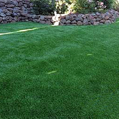 Artificial Grass Installation Casco, Wisconsin Indoor Dog Park, Backyards