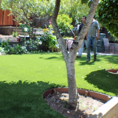 Artificial Grass Installation Prairie du Sac, Wisconsin Roof Top, Backyard Design