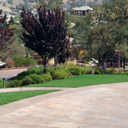 Artificial Grass La Farge, Wisconsin Lawns, Small Front Yard Landscaping