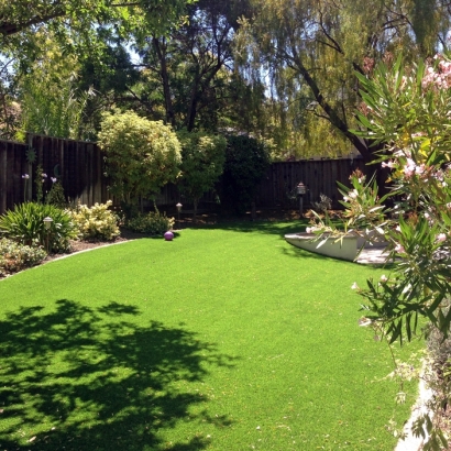 Artificial Grass Powers Lake, Wisconsin Garden Ideas, Backyard Design