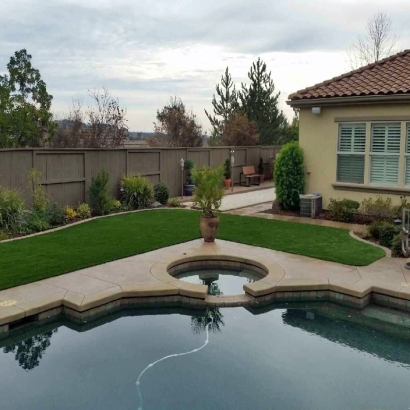 Artificial Grass Rio, Wisconsin Design Ideas, Backyards