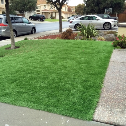 Artificial Grass Saint Cloud, Wisconsin Landscape Design, Front Yard Design
