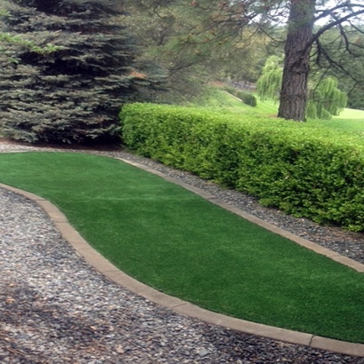 Artificial Grass Slinger, Wisconsin Landscape Design
