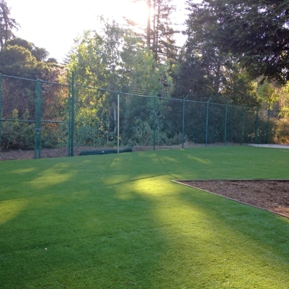 Artificial Grass Springfield, Wisconsin Lawn And Garden, Parks