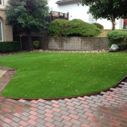 Artificial Grass Twin Lakes, Wisconsin Design Ideas, Front Yard Ideas