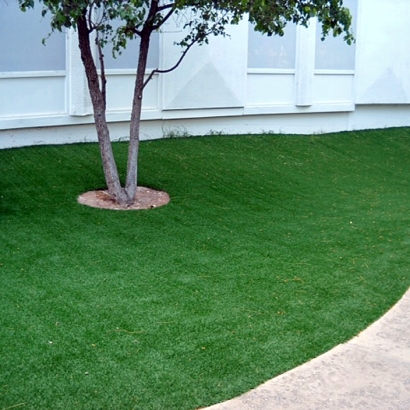 Artificial Lawn Butler, Wisconsin Landscaping, Commercial Landscape