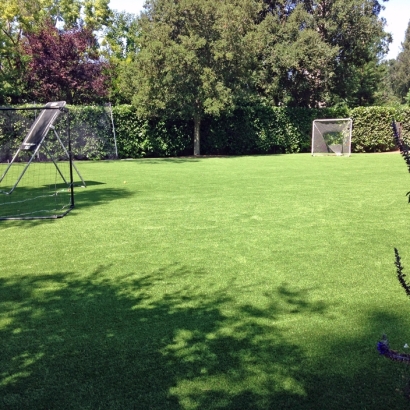 Artificial Lawn Chilton, Wisconsin Lawn And Garden, Backyard Garden Ideas