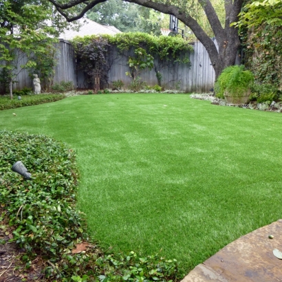 Artificial Lawn Dalton, Wisconsin Lawns, Backyard Design