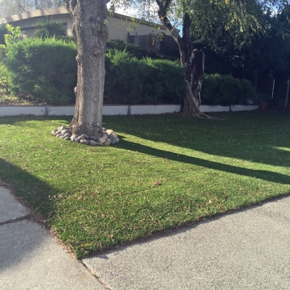 Artificial Lawn Francis Creek, Wisconsin City Landscape, Front Yard Landscape Ideas