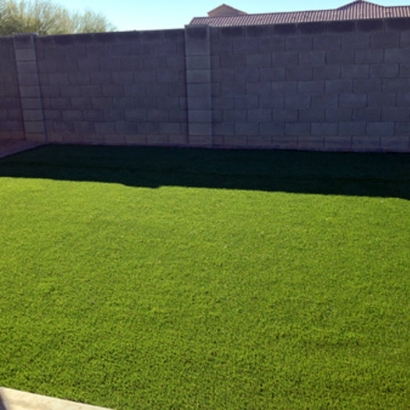 Artificial Lawn Kiel, Wisconsin Landscape Design, Backyard Landscape Ideas