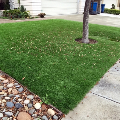 Artificial Lawn Marshall, Wisconsin Lawn And Landscape, Front Yard Design
