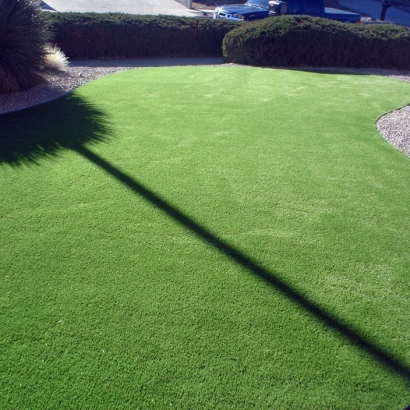 Artificial Lawn Pardeeville, Wisconsin Design Ideas, Front Yard Landscape Ideas