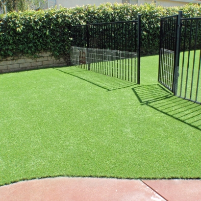 Artificial Lawn Shorewood Hills, Wisconsin Pet Paradise, Landscaping Ideas For Front Yard