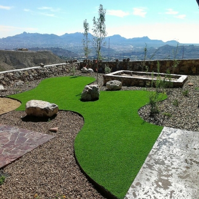 Artificial Lawn Wisconsin Dells, Wisconsin Dog Park, Backyard Garden Ideas