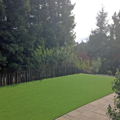 Artificial Lawn Wittenberg, Wisconsin Backyard Playground, Beautiful Backyards