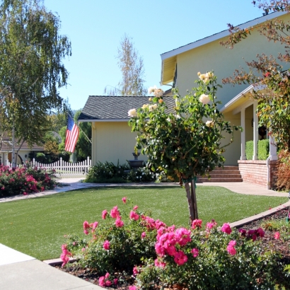 Artificial Turf Boaz, Wisconsin Backyard Playground, Front Yard Design