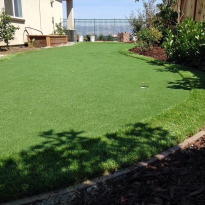 Artificial Turf Burnett, Wisconsin Landscape Ideas, Backyard Landscape Ideas