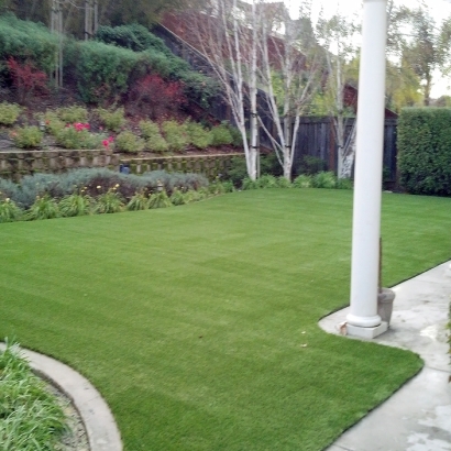 Artificial Turf Cost Dale, Wisconsin Landscape Photos, Backyard Design