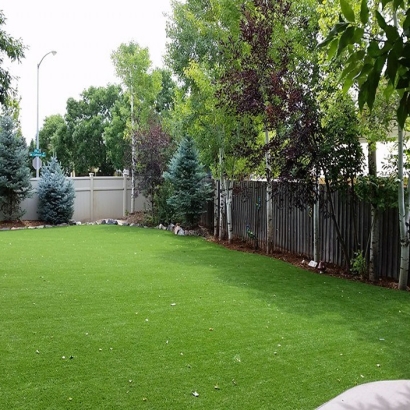 Artificial Turf Cost Evansville, Wisconsin Dog Run, Backyard Landscaping