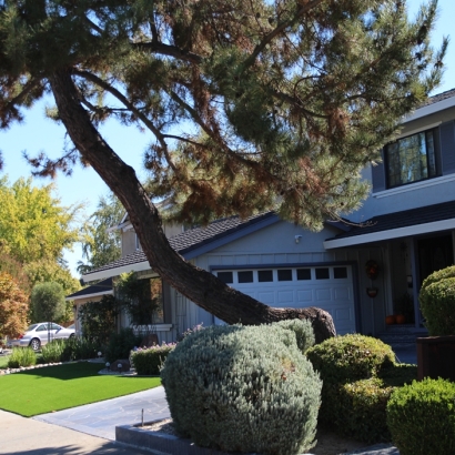 Artificial Turf Cost Madison, Wisconsin Gardeners, Front Yard Landscaping