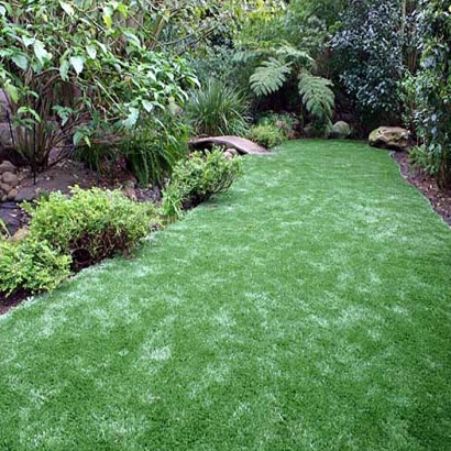 Artificial Turf Cost Nelsonville, Wisconsin Rooftop, Backyard Ideas