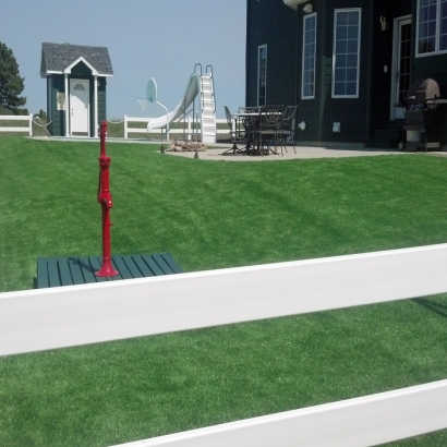 Artificial Turf Cost Oxford, Wisconsin Backyard Playground, Front Yard Ideas