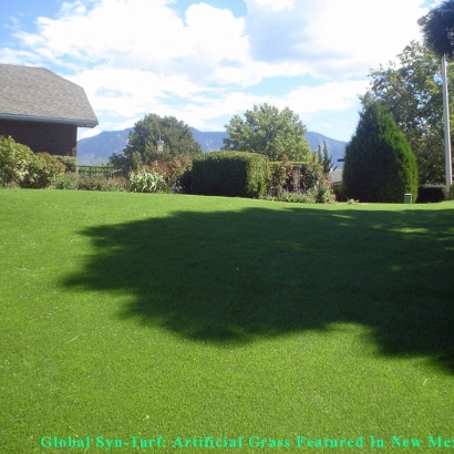 Artificial Turf Cost West Allis, Wisconsin Grass For Dogs, Backyard