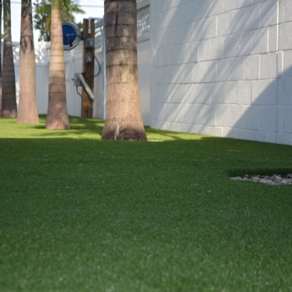 Artificial Turf Cost Woodford, Wisconsin Gardeners, Commercial Landscape