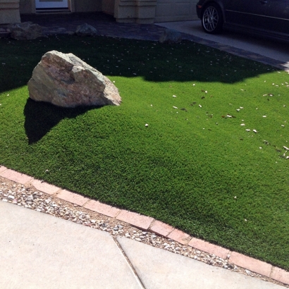 Artificial Turf Cost Woodman, Wisconsin Landscape Photos