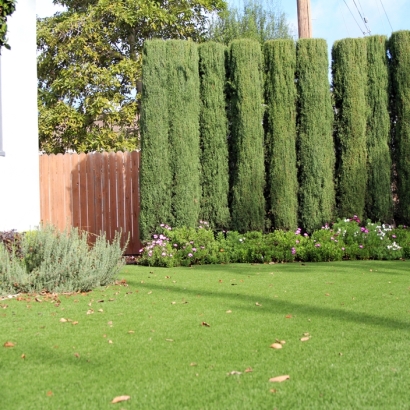 Artificial Turf Edgerton, Wisconsin Paver Patio, Front Yard Ideas
