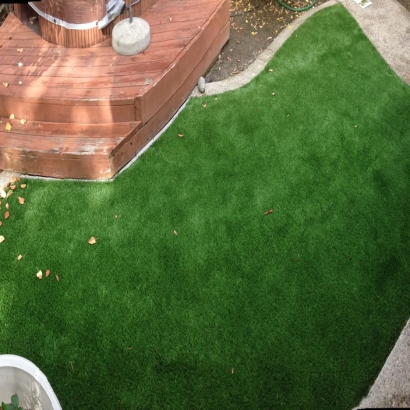 Artificial Turf Elkhart Lake, Wisconsin Roof Top, Backyard Makeover