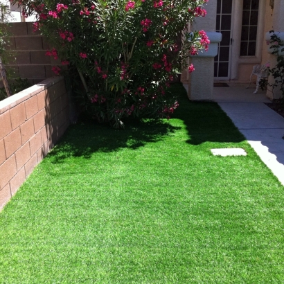 Artificial Turf Endeavor, Wisconsin Lawn And Garden, Front Yard Design