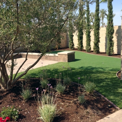 Artificial Turf Fontana, Wisconsin Home And Garden, Backyard Designs