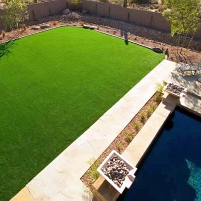 Artificial Turf Fredonia, Wisconsin Lawn And Garden, Backyard Ideas