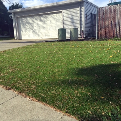 Artificial Turf Installation Butte des Morts, Wisconsin Gardeners, Front Yard