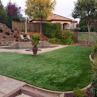 Artificial Turf McFarland, Wisconsin Backyard Playground, Backyard Landscape Ideas