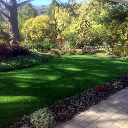 Artificial Turf Wales, Wisconsin Landscape Design, Backyard Landscaping