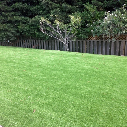 Best Artificial Grass Birnamwood, Wisconsin Backyard Deck Ideas, Backyard Ideas