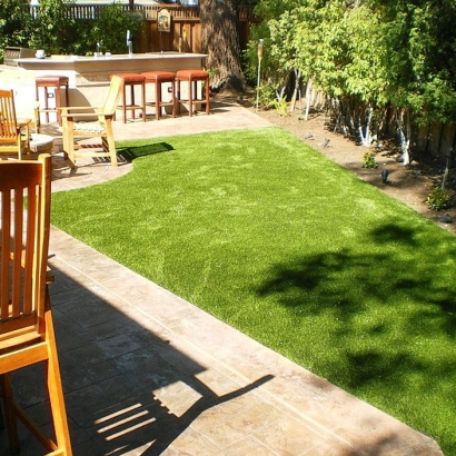 Best Artificial Grass Como, Wisconsin Gardeners, Backyard Landscaping