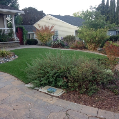Best Artificial Grass Franksville, Wisconsin Lawn And Garden, Front Yard Landscape Ideas