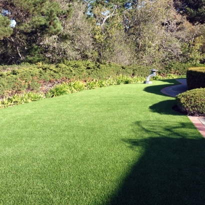 Best Artificial Grass Green Lake, Wisconsin Design Ideas, Small Front Yard Landscaping
