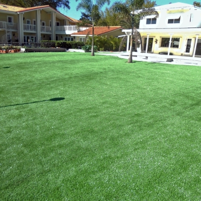 Best Artificial Grass Neenah, Wisconsin Landscape Ideas, Pool Designs