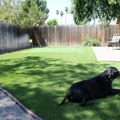 Best Artificial Grass Sauk City, Wisconsin Paver Patio, Backyard Ideas