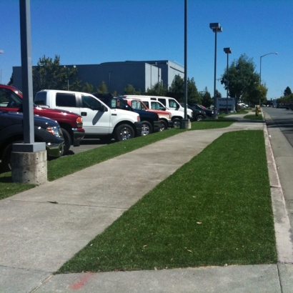 Best Artificial Grass Slinger, Wisconsin Design Ideas, Commercial Landscape