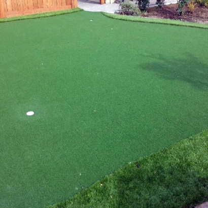 Best Artificial Grass Thiensville, Wisconsin Lawns