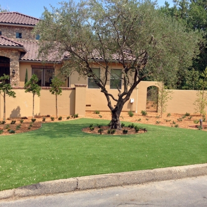 Fake Grass Cambridge, Wisconsin Landscaping, Front Yard Design